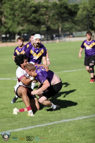 A Raiders ball carrier in purple and gold collides with a Seagulls tackler at close quarters