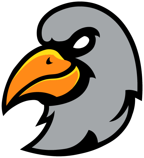 Seagulls logo