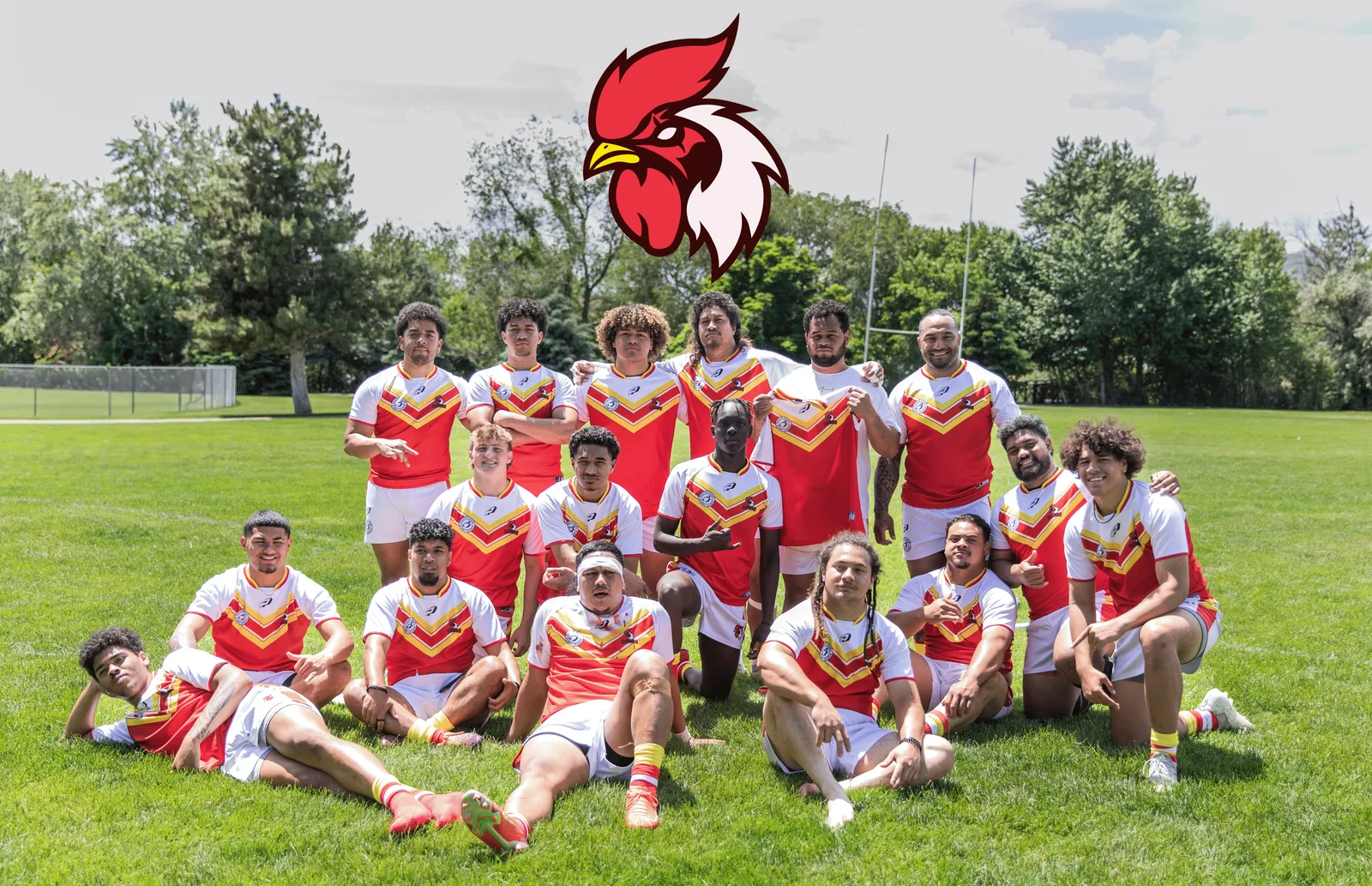 Roosters Intent to Compete